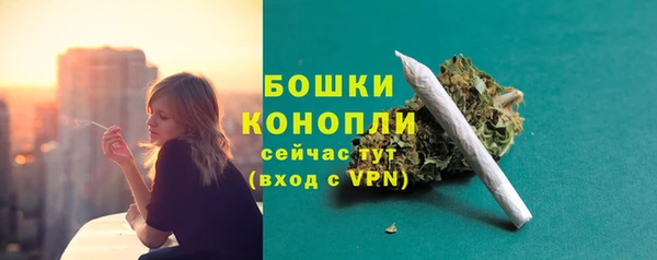 прущий лед Бронницы