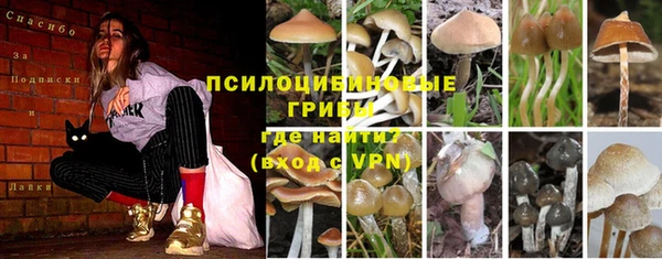 прущий лед Бронницы